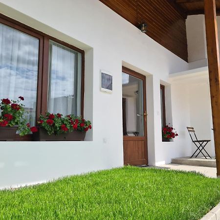 The Cozy Bunker Apartment Sibiu Exterior photo
