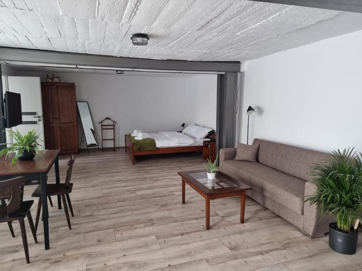 The Cozy Bunker Apartment Sibiu Exterior photo