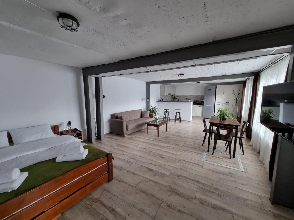 The Cozy Bunker Apartment Sibiu Exterior photo