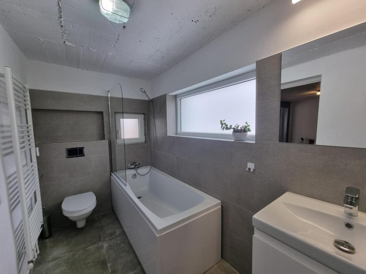 The Cozy Bunker Apartment Sibiu Exterior photo