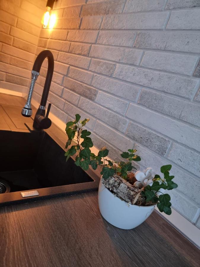 The Cozy Bunker Apartment Sibiu Exterior photo