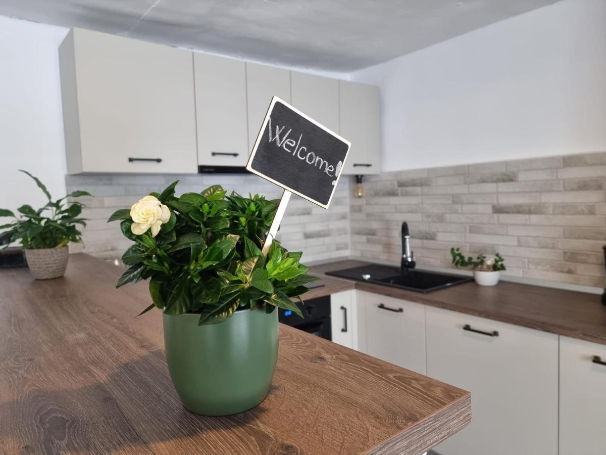 The Cozy Bunker Apartment Sibiu Exterior photo