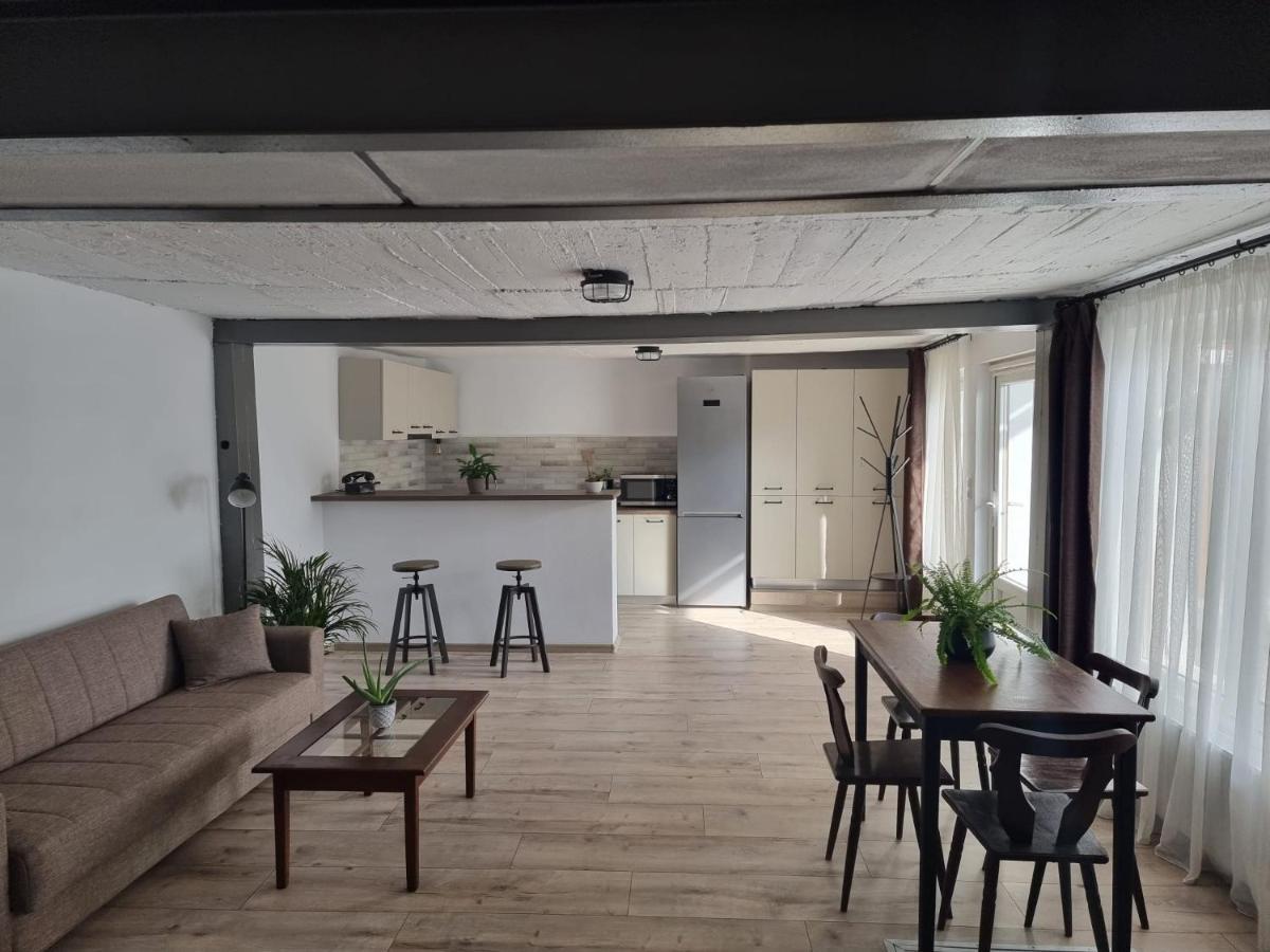 The Cozy Bunker Apartment Sibiu Exterior photo